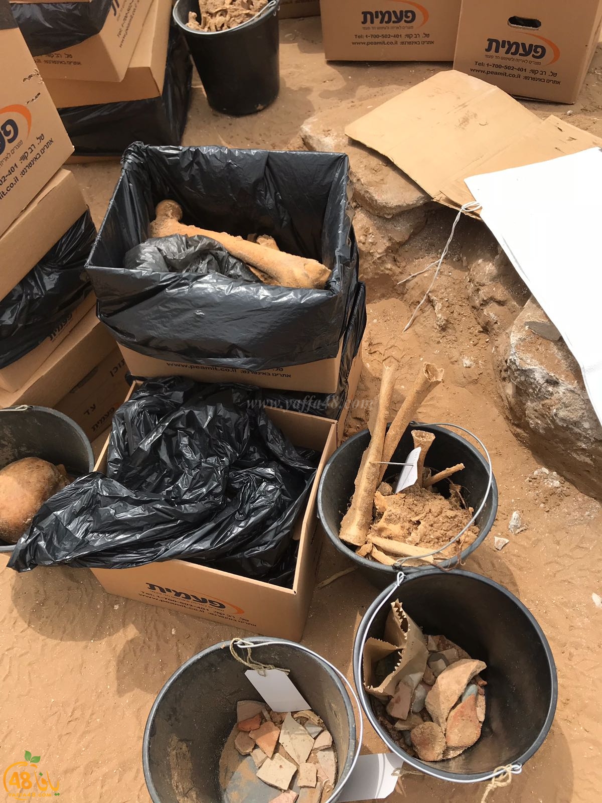 WhatsApp Image 2020-06-17 at 9.30.47 AM (1).jpeg.jpg.jpg